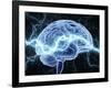 Human Brain, Conceptual Artwork-PASIEKA-Framed Photographic Print