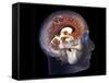 Human Brain, MRI Scan-null-Framed Stretched Canvas