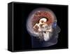 Human Brain, MRI Scan-null-Framed Stretched Canvas