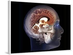 Human Brain, MRI Scan-null-Framed Photographic Print