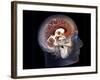 Human Brain, MRI Scan-null-Framed Photographic Print
