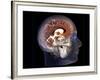 Human Brain, MRI Scan-null-Framed Photographic Print