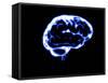 Human Brain-Christian Darkin-Framed Stretched Canvas