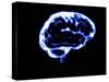 Human Brain-Christian Darkin-Stretched Canvas