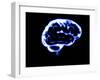 Human Brain-Christian Darkin-Framed Photographic Print