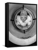 Human Cannonball Egle Zacchini, Inside Cannon Just Before Her Launching During Circus Act-Cornell Capa-Framed Stretched Canvas