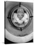 Human Cannonball Egle Zacchini, Inside Cannon Just Before Her Launching During Circus Act-Cornell Capa-Stretched Canvas