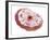 Human Cell Anatomy-null-Framed Art Print