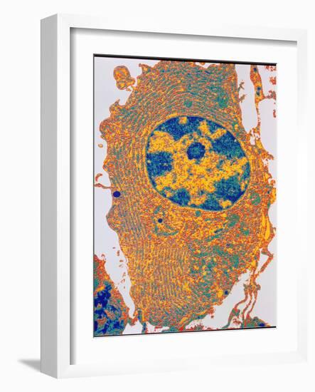 Human Cell-PASIEKA-Framed Photographic Print