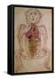 Human Circulation System from Mansur's Anatomy by 15th C. Persian Mansur Ibn Ilyas-null-Framed Stretched Canvas