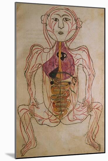 Human Circulation System from Mansur's Anatomy by 15th C. Persian Mansur Ibn Ilyas-null-Mounted Art Print