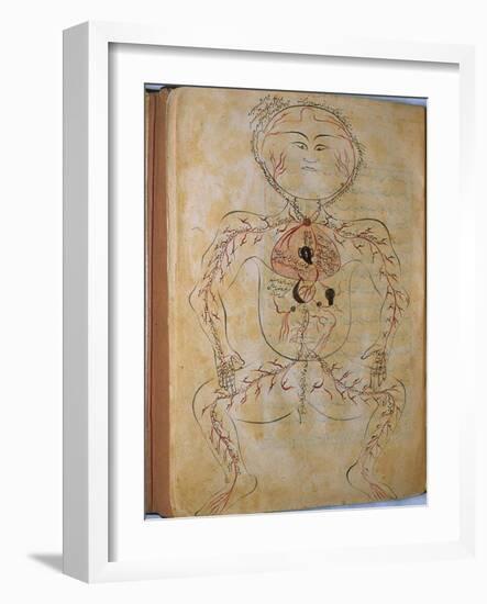 Human Circulation System from Mansur's Anatomy by 15th C. Persian Mansur Ibn Ilyas-null-Framed Art Print