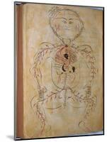 Human Circulation System from Mansur's Anatomy by 15th C. Persian Mansur Ibn Ilyas-null-Mounted Art Print