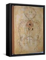 Human Circulation System from Mansur's Anatomy by 15th C. Persian Mansur Ibn Ilyas-null-Framed Stretched Canvas