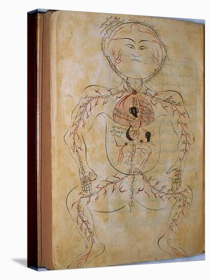 Human Circulation System from Mansur's Anatomy by 15th C. Persian Mansur Ibn Ilyas-null-Stretched Canvas