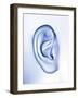 Human Ear-PASIEKA-Framed Photographic Print