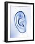 Human Ear-PASIEKA-Framed Photographic Print