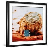 Human Embryo in Early Stages-null-Framed Photographic Print