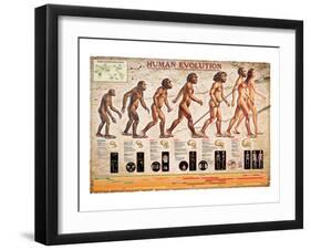 Human Evolution-null-Framed Premium Giclee Print