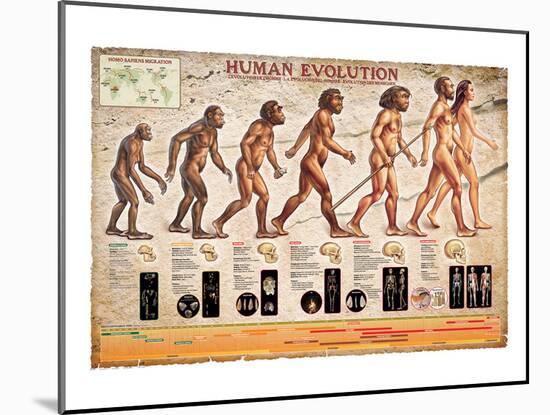 Human Evolution-null-Mounted Premium Giclee Print