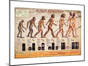 Human Evolution-null-Mounted Premium Giclee Print