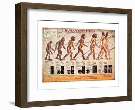 Human Evolution-null-Framed Art Print