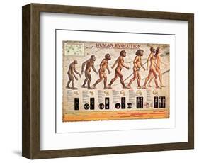 Human Evolution-null-Framed Art Print