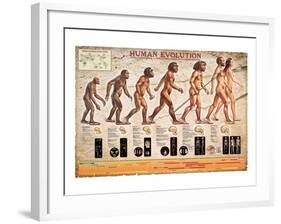 Human Evolution-null-Framed Art Print