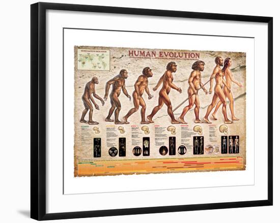 Human Evolution-null-Framed Art Print