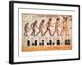 Human Evolution-null-Framed Art Print