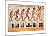Human Evolution-null-Mounted Art Print