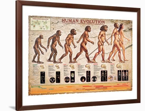 Human Evolution-null-Framed Art Print