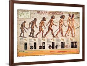 Human Evolution-null-Framed Art Print