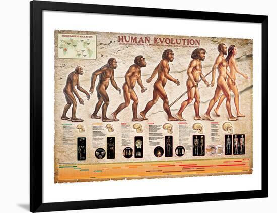 Human Evolution-null-Framed Art Print