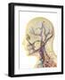 Human Face and Neck Area with Nervous System, Lymphatic System and Circulatory System-Stocktrek Images-Framed Art Print