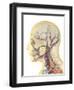 Human Face and Neck Area with Nervous System, Lymphatic System and Circulatory System-Stocktrek Images-Framed Art Print