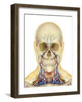 Human Face and Neck Area with Nervous System, Lymphatic System and Circulatory System-Stocktrek Images-Framed Art Print