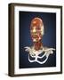 Human Face with Bone and Muscles-Stocktrek Images-Framed Art Print