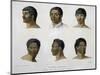 Human Faces from New Zealand-null-Mounted Giclee Print