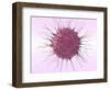 Human Fertilisation, Artwork-David Mack-Framed Premium Photographic Print