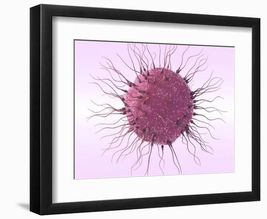 Human Fertilisation, Artwork-David Mack-Framed Premium Photographic Print