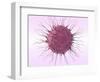 Human Fertilisation, Artwork-David Mack-Framed Premium Photographic Print