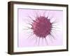 Human Fertilisation, Artwork-David Mack-Framed Photographic Print