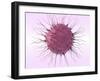 Human Fertilisation, Artwork-David Mack-Framed Photographic Print