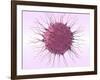 Human Fertilisation, Artwork-David Mack-Framed Photographic Print