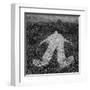 Human Figure Outline Imprinted On Grass-sirylok-Framed Art Print