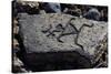 Human Figures, Stone Engraving, Puako Petroglyph Archaeological District, Hawaii, United States-null-Stretched Canvas