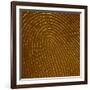 Human Fingertip-null-Framed Photographic Print