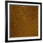 Human Fingertip-null-Framed Photographic Print