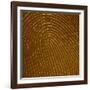 Human Fingertip-null-Framed Photographic Print